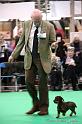 Crufts2011_2 1148